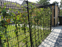 Hillfence | Dubbelstaafsmat | 103cm | Dennengroen RAL6009